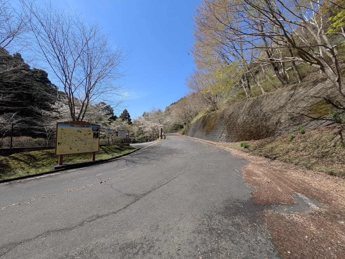 須津川渓谷の全体マップが描かれた案内板と、第2駐車場周辺の山肌に咲く桜