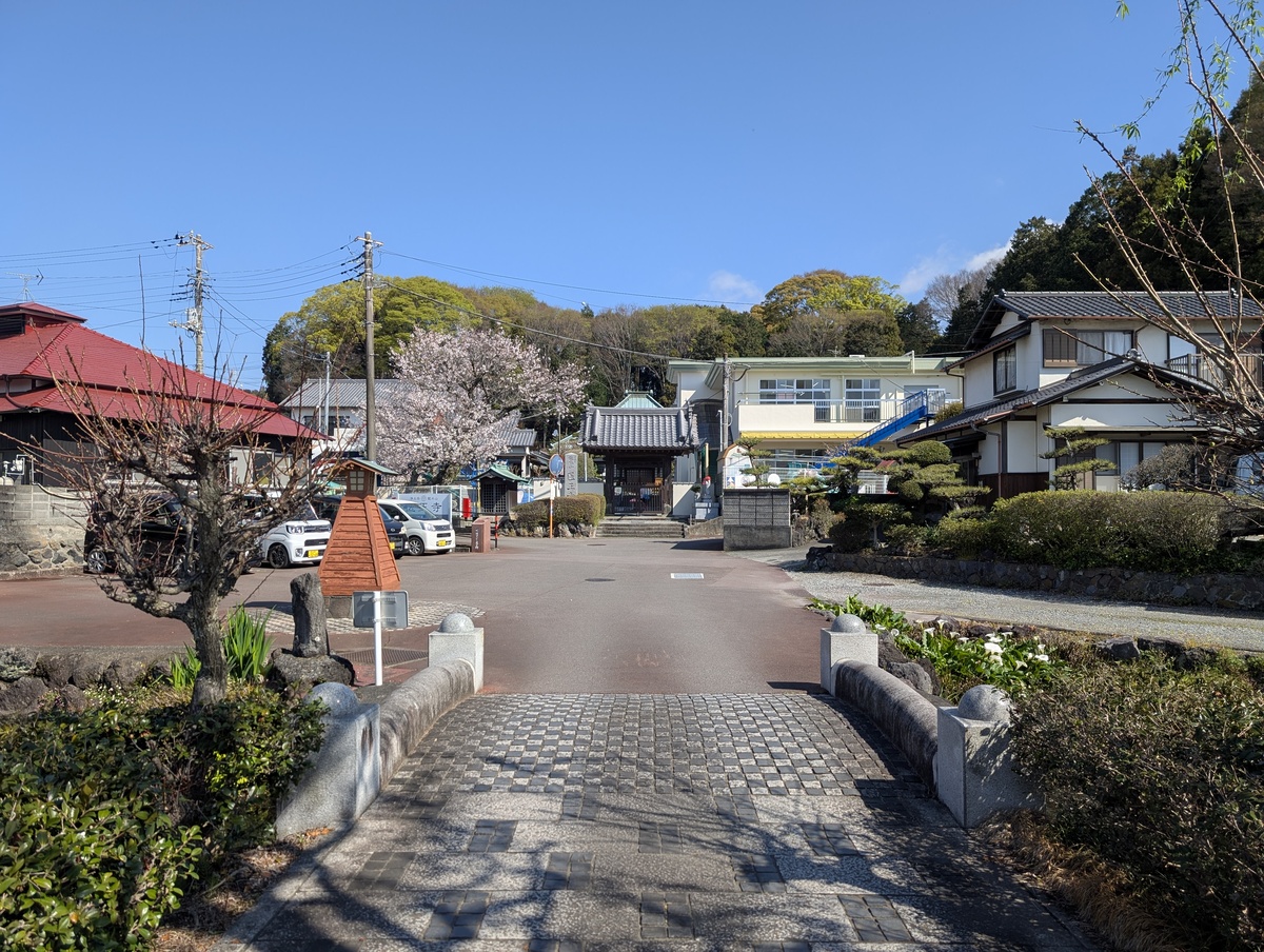 泉の郷湧水公園から医王寺の山門へと続く石橋と、美しく咲き誇る満開の桜