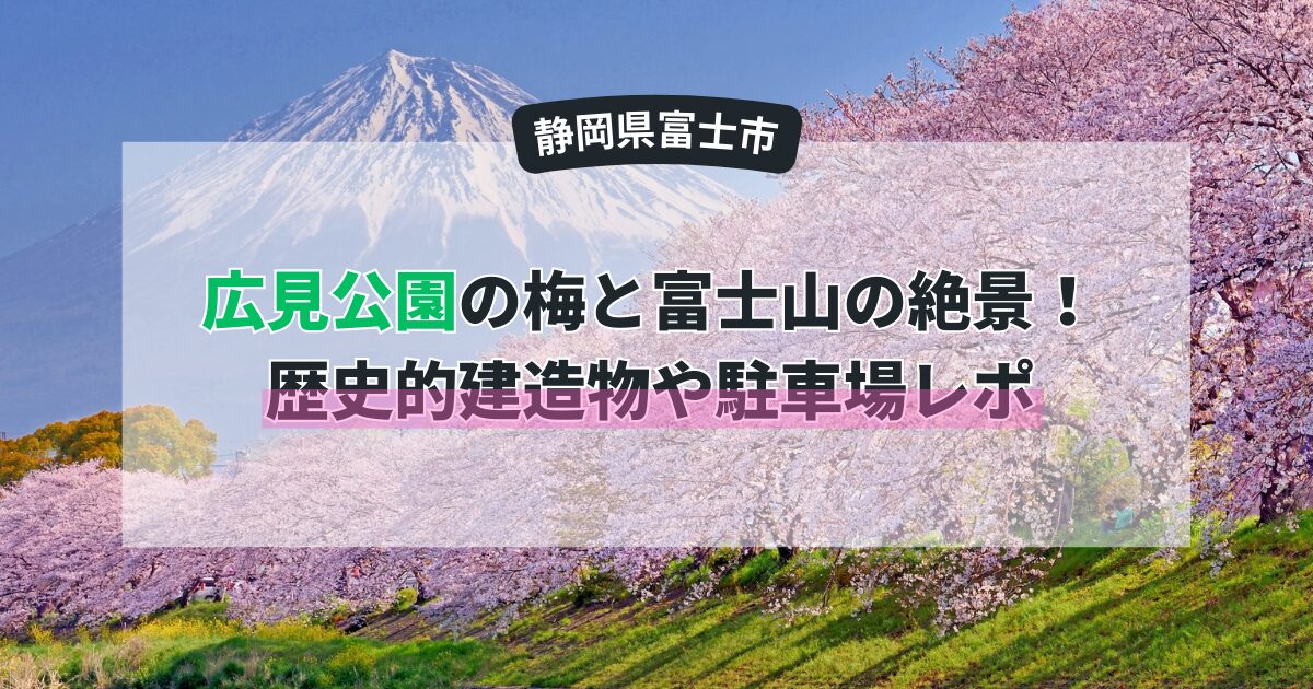 【富士市】広見公園の梅と富士山の絶景！歴史的建造物や駐車場レポ