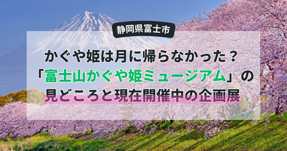 【富士市】かぐや姫は月に帰らなかった？「富士山かぐや姫ミュージアム」の見どころと現在開催中の企画展