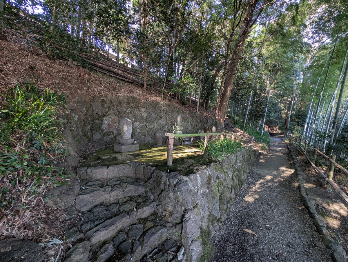 竹取公園を実際に歩いてみると、立派な竹や木々に囲まれたとても雰囲気の良い場所