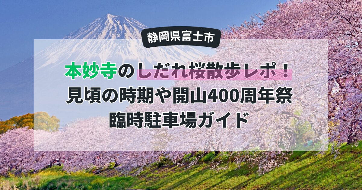 【富士市】本妙寺のしだれ桜散歩レポ！見頃の時期や開山400周年祭・臨時駐車場ガイド