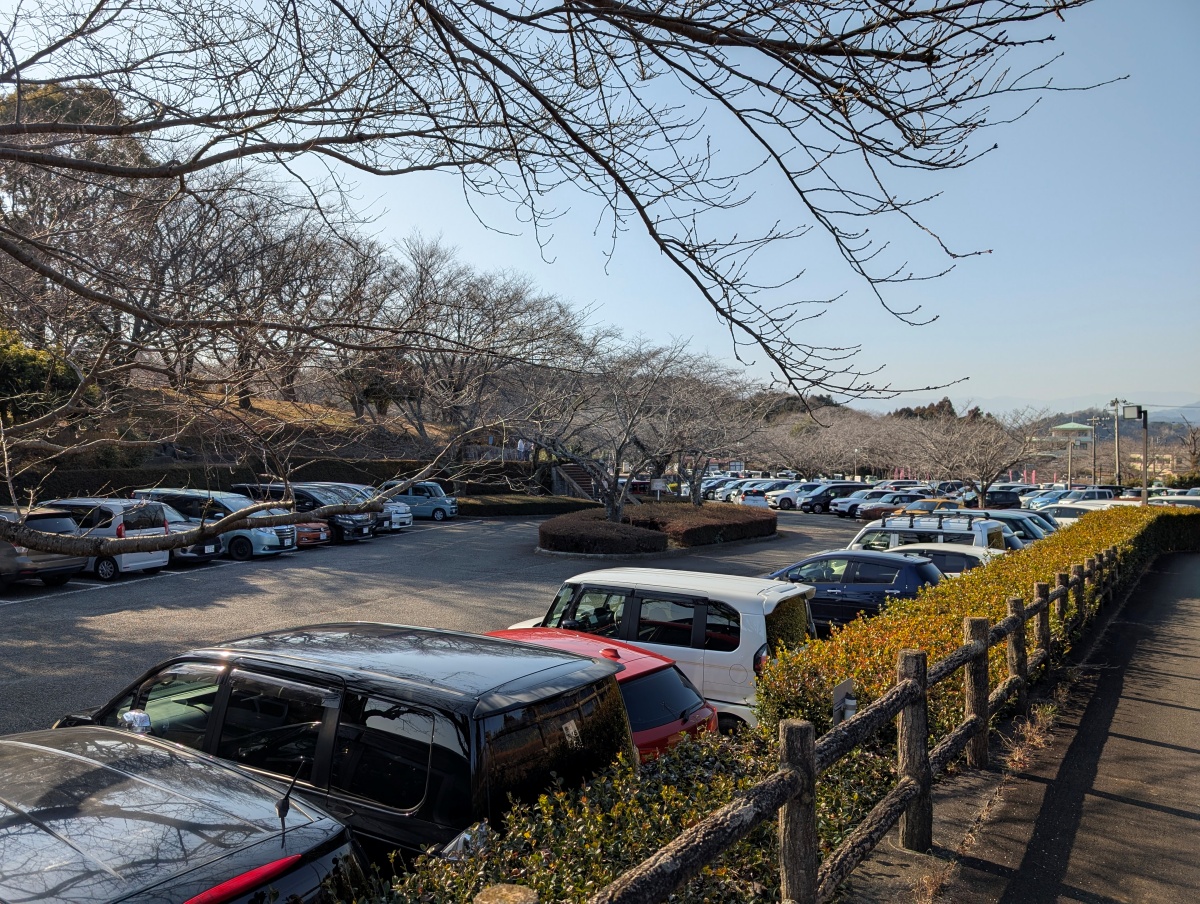 絶景富士山 まるごと岩本山 日曜日の駐車場は満車