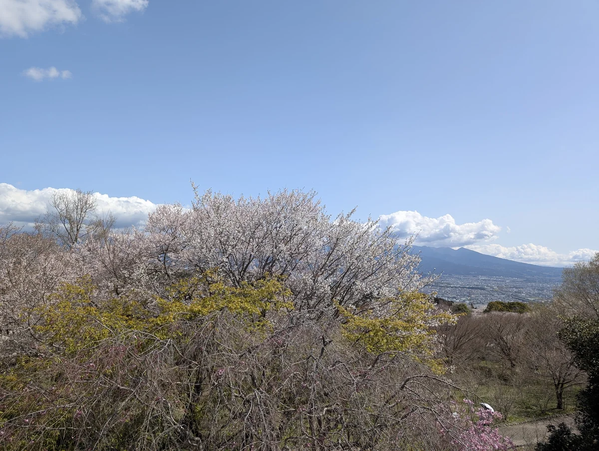 岩本山公園のパノラマ展望台