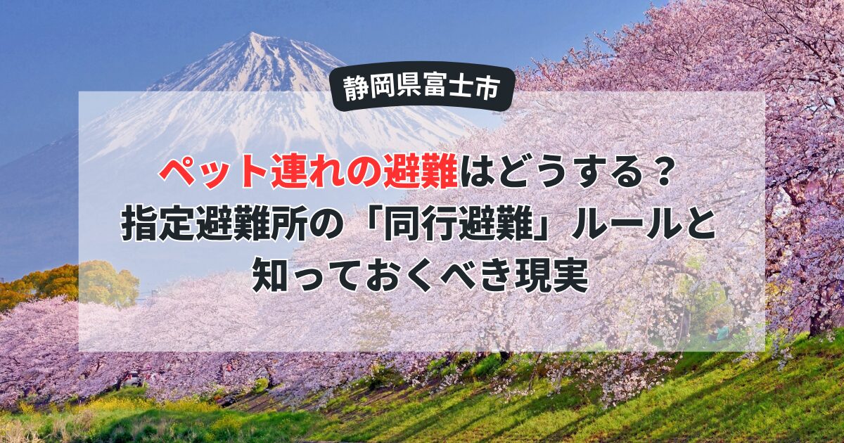 【富士市】ペット連れの避難はどうする？指定避難所の「同行避難」ルールと知っておくべき現実