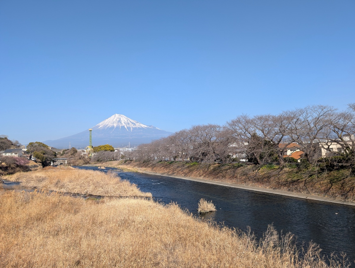 龍巖淵の滝戸橋からの富士山と開花前の桜