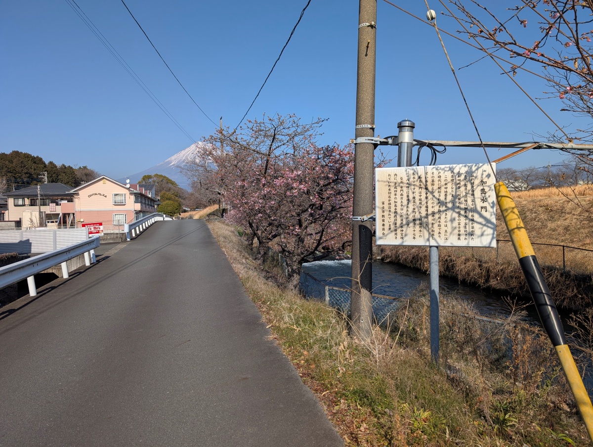 龍巖淵の加島水門の早咲きの桜
