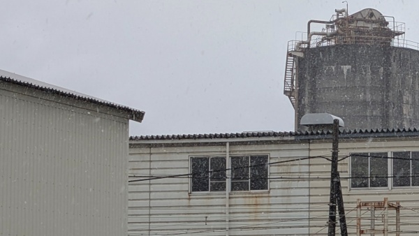 2026年2月8日　富士市に珍しく雪が降った