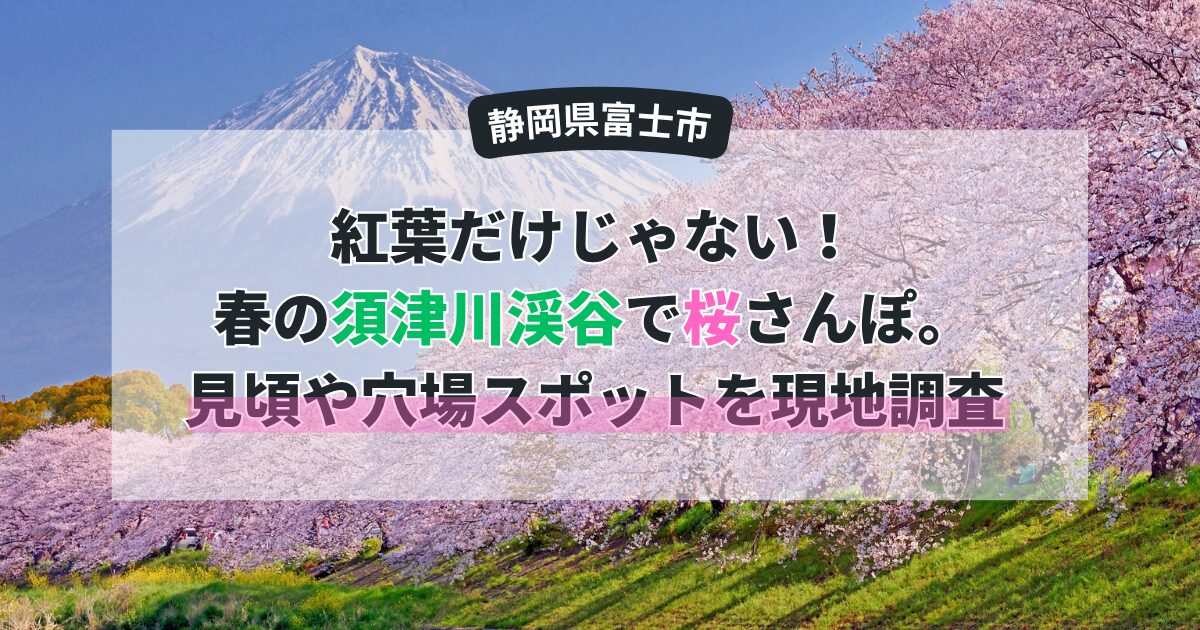 紅葉だけじゃない！春の須津川渓谷で桜さんぽ。見頃や穴場スポットを現地調査