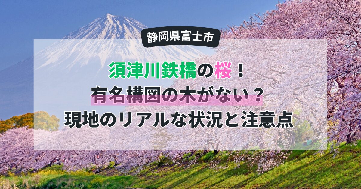 富士市「須津川鉄橋」の桜さんぽ！有名構図の木がない？現地のリアルな状況と注意点